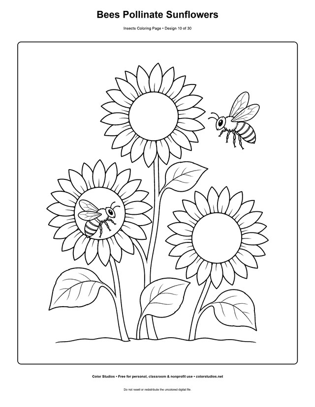 Two honey bees pollinating three sunflowers in a garden coloring page.