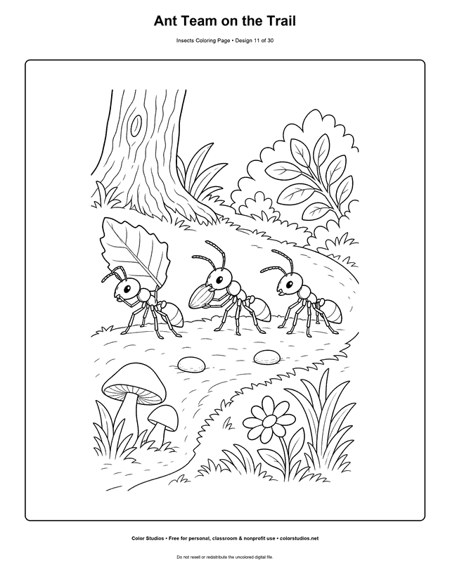 Three worker ants carrying a leaf piece and seed along a woodland trail coloring page.