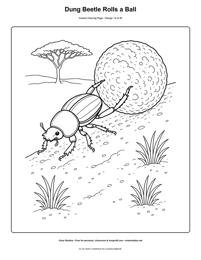 Dung beetle pushing a round ball up a gentle sandy slope coloring page.