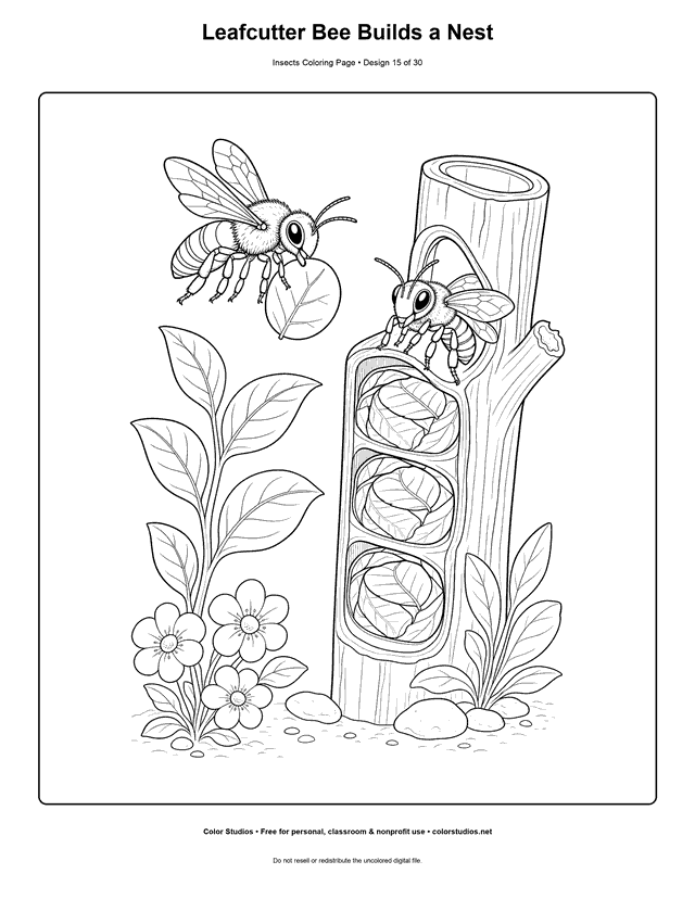 Two leafcutter bees building leaf-lined chambers inside a hollow stem coloring page.