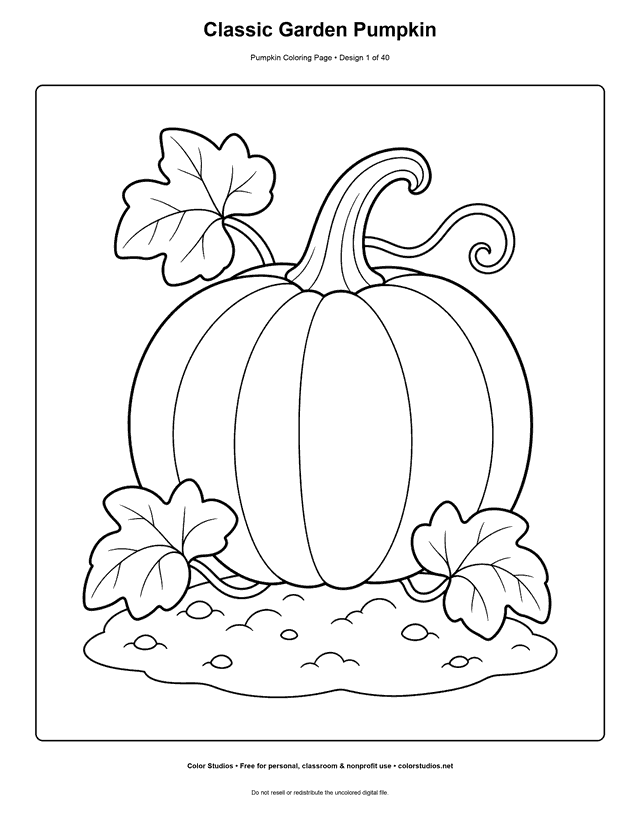 Preview of an original pumpkin coloring page