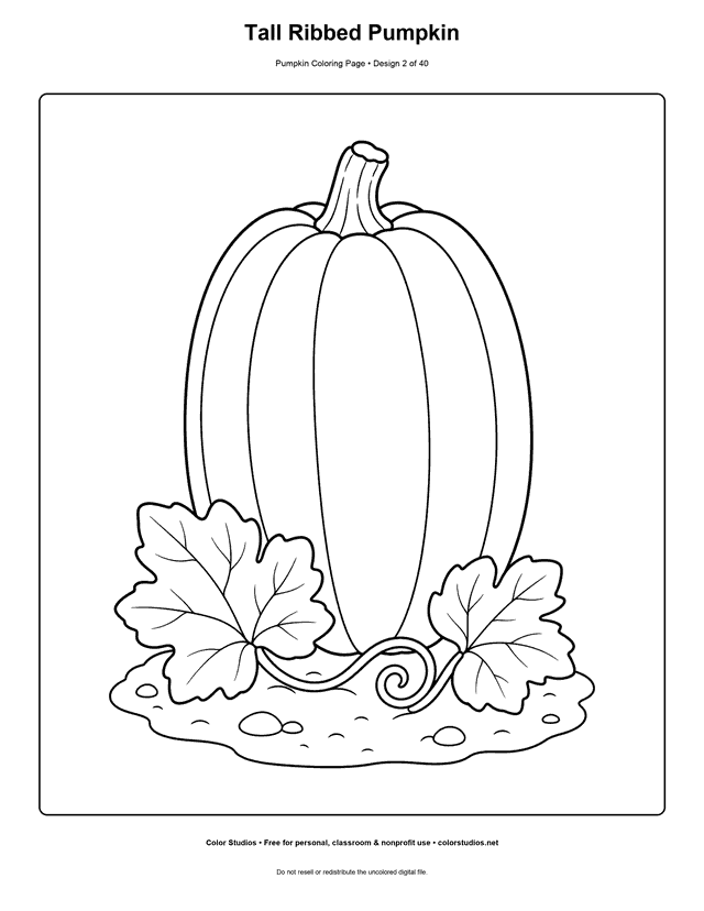 Tall Ribbed Pumpkin free printable pumpkin coloring page.