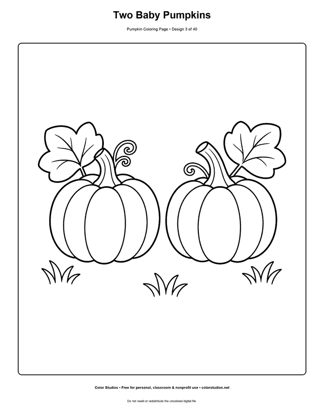 Two Baby Pumpkins free printable pumpkin coloring page.