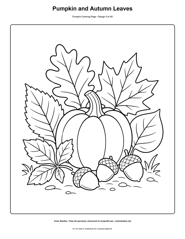 Pumpkin and Autumn Leaves free printable pumpkin coloring page.