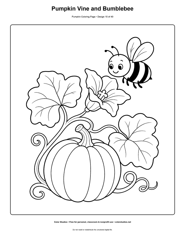 Pumpkin Vine and Bumblebee free printable pumpkin coloring page.