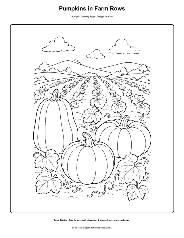 Pumpkins in Farm Rows free printable pumpkin coloring page.