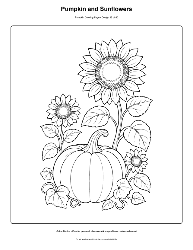 Pumpkin and Sunflowers free printable pumpkin coloring page.