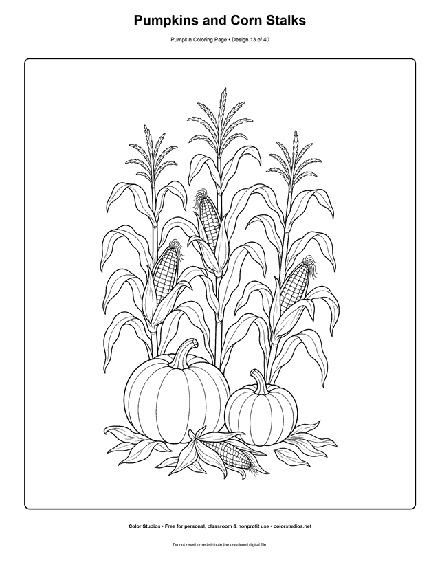 Pumpkins and Corn Stalks free printable pumpkin coloring page.