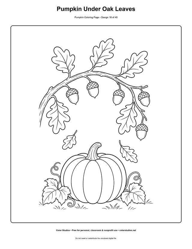 Pumpkin Under Oak Leaves free printable pumpkin coloring page.
