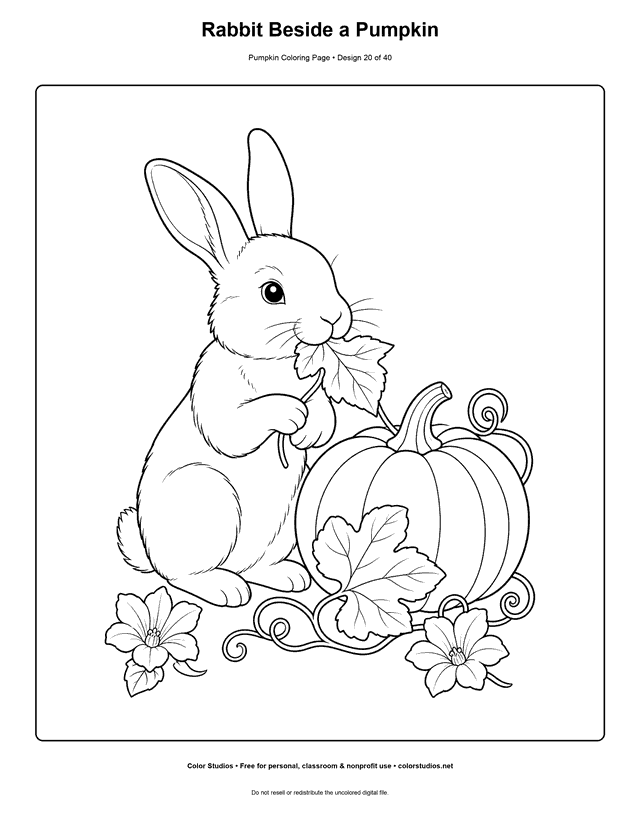 Rabbit Beside a Pumpkin free printable pumpkin coloring page.