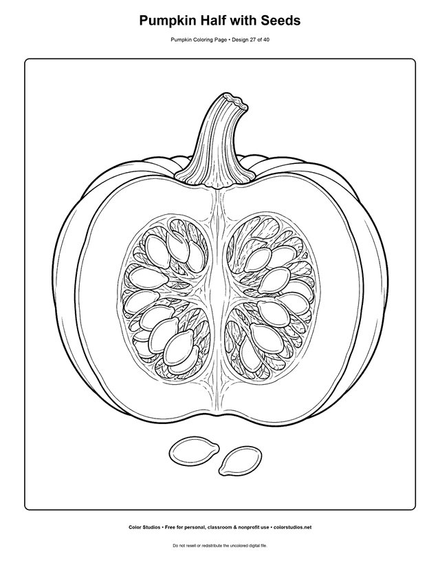 Pumpkin Half with Seeds free printable pumpkin coloring page.