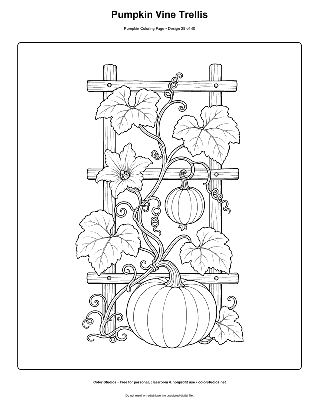 Pumpkin Vine Trellis free printable pumpkin coloring page.