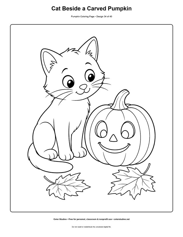 Cat Beside a Carved Pumpkin free printable pumpkin coloring page.