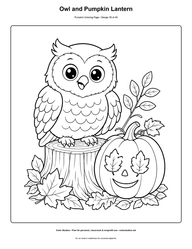 Owl and Pumpkin Lantern free printable pumpkin coloring page.