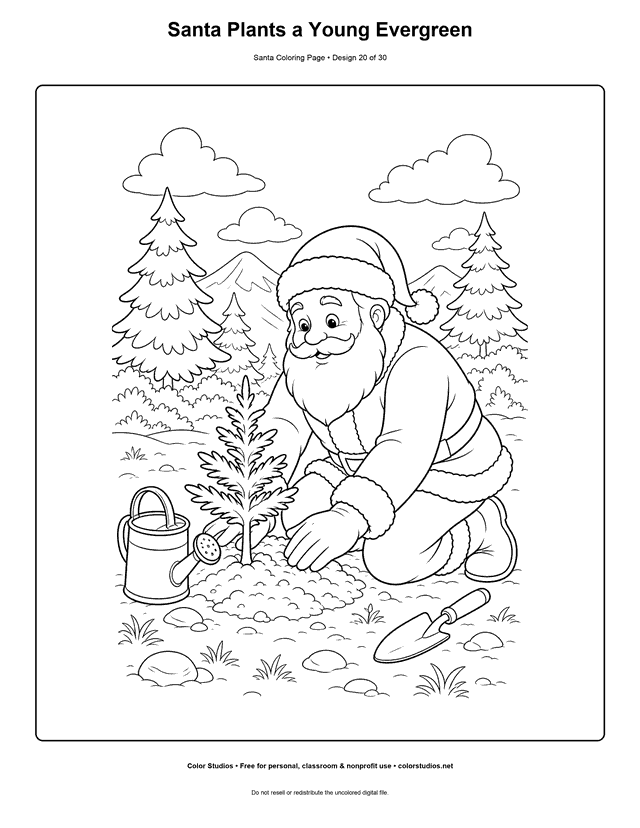 Santa planting a young evergreen tree coloring page.