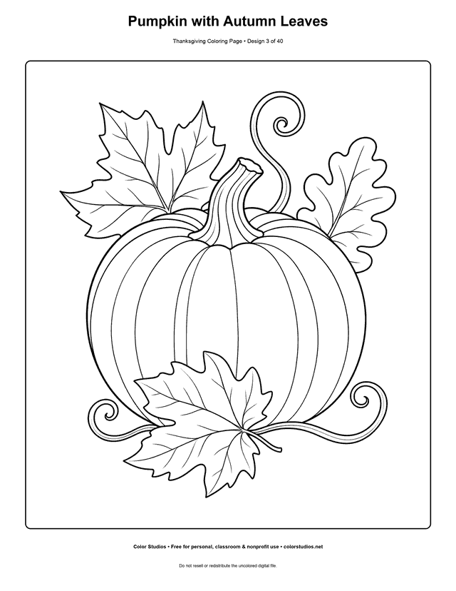 Thanksgiving pumpkin with autumn leaves coloring page.