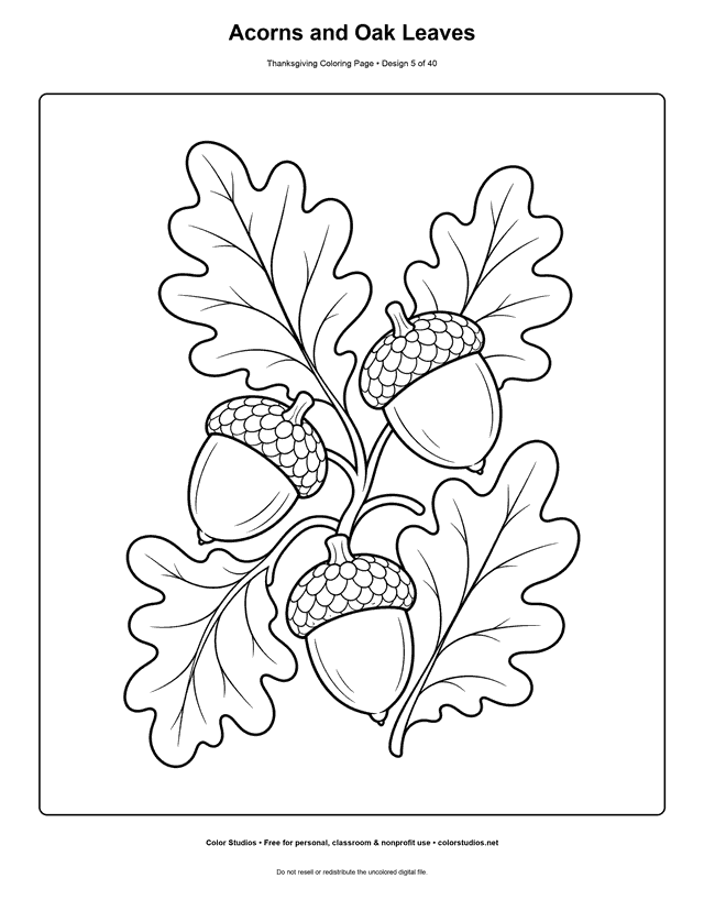 Three acorns and four oak leaves coloring page.