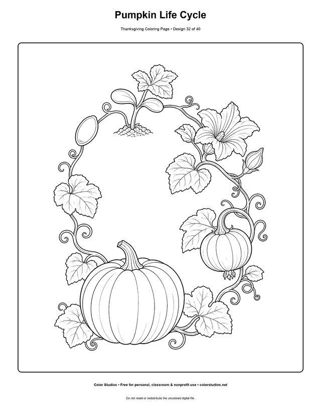 Five stages of a pumpkin life cycle coloring page.