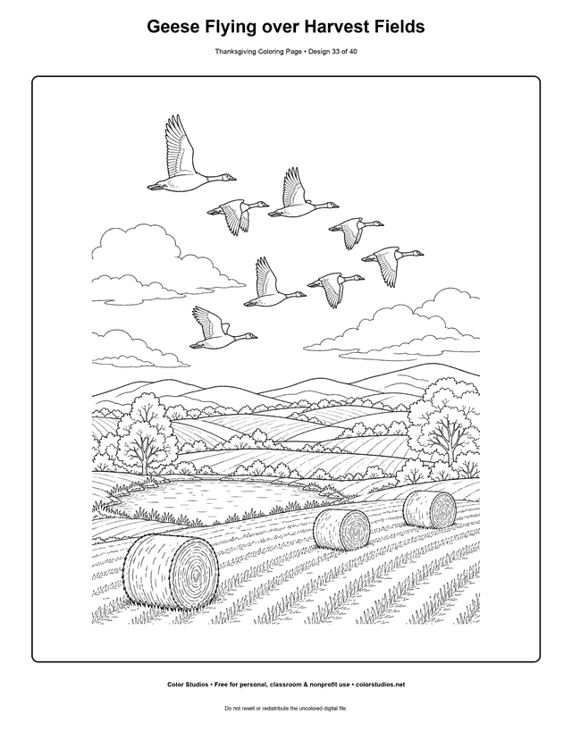 Eight geese flying over autumn harvest fields coloring page.