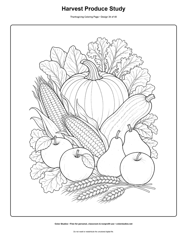 Thanksgiving harvest produce still life coloring page.