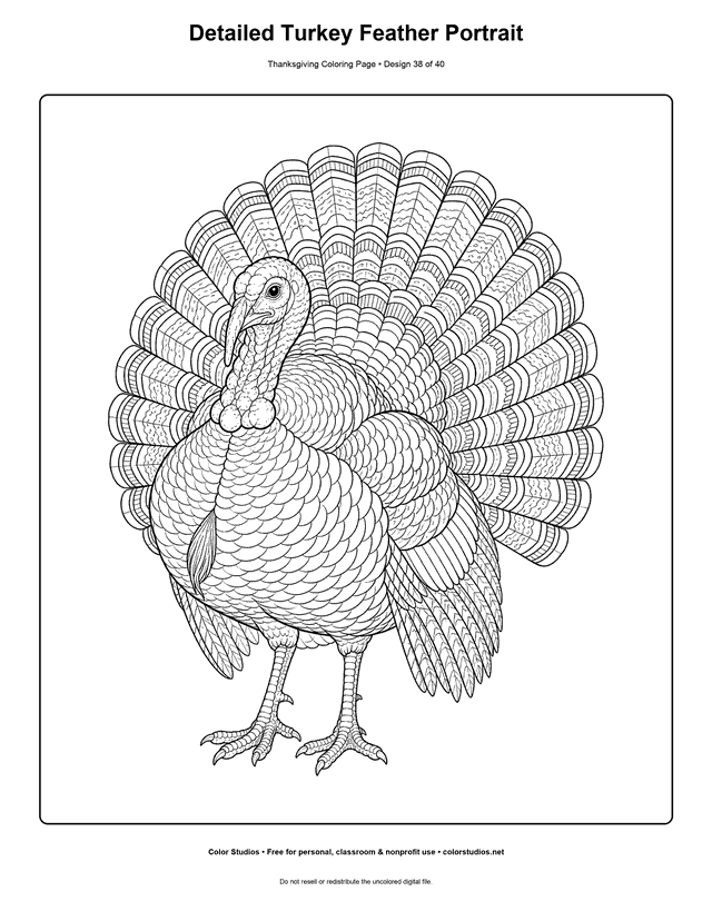 Detailed turkey feather portrait with leaves and acorns coloring page.