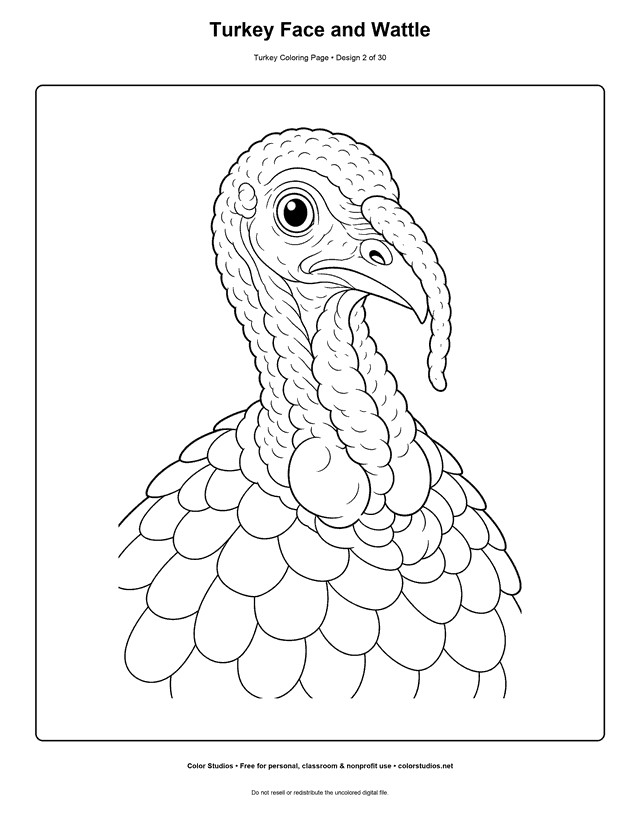 Turkey Face and Wattle printable turkey coloring page.