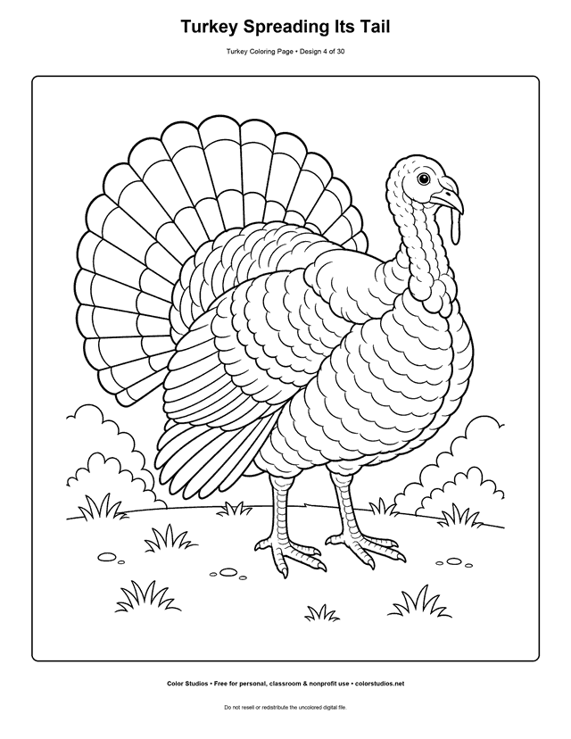 Turkey Spreading Its Tail printable turkey coloring page.
