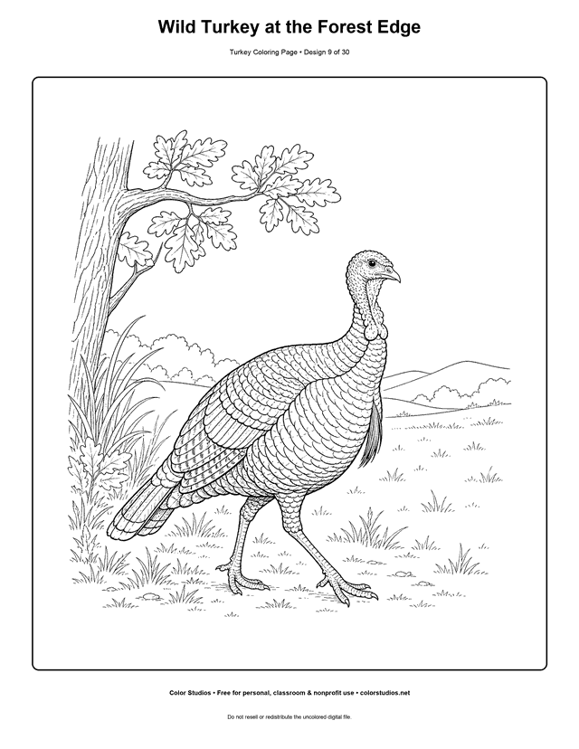 Wild Turkey at the Forest Edge printable turkey coloring page.