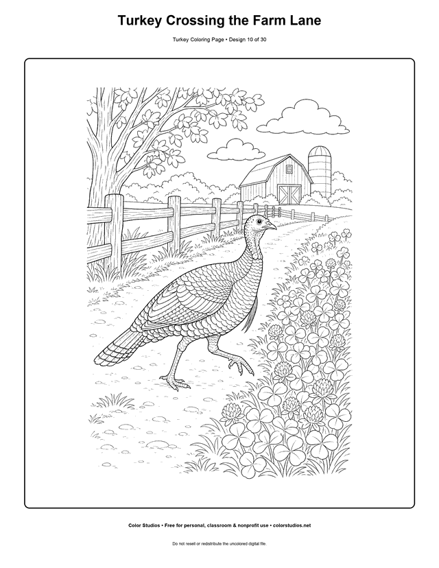 Turkey Crossing the Farm Lane printable turkey coloring page.