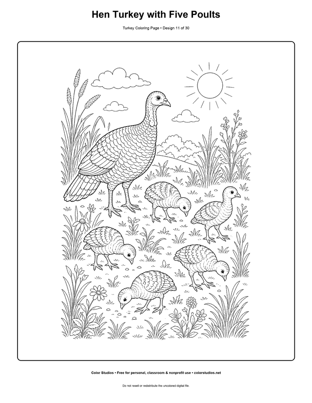 Hen Turkey with Five Poults printable turkey coloring page.