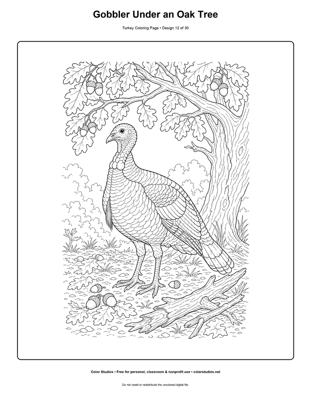 Gobbler Under an Oak Tree printable turkey coloring page.