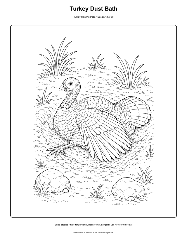 Turkey Dust Bath printable turkey coloring page.
