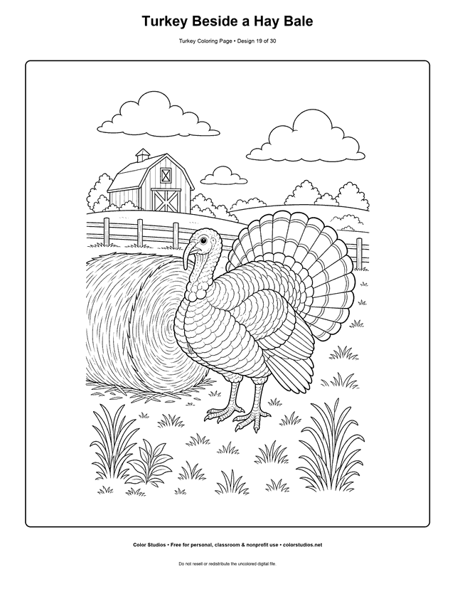 Turkey Beside a Hay Bale printable turkey coloring page.