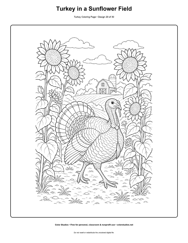 Turkey in a Sunflower Field printable turkey coloring page.