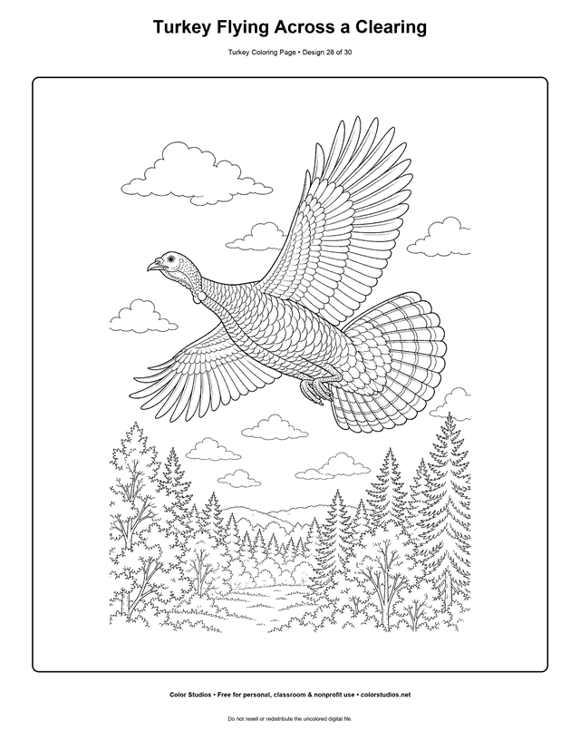Turkey Flying Across a Clearing printable turkey coloring page.