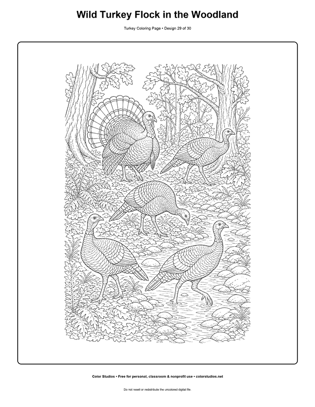 Wild Turkey Flock in the Woodland printable turkey coloring page.