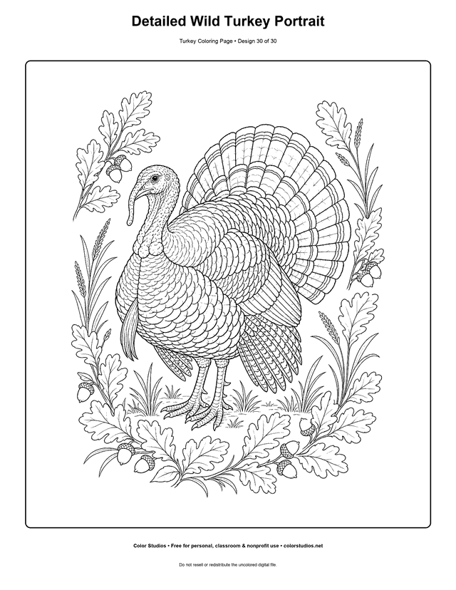 Detailed Wild Turkey Portrait printable turkey coloring page.