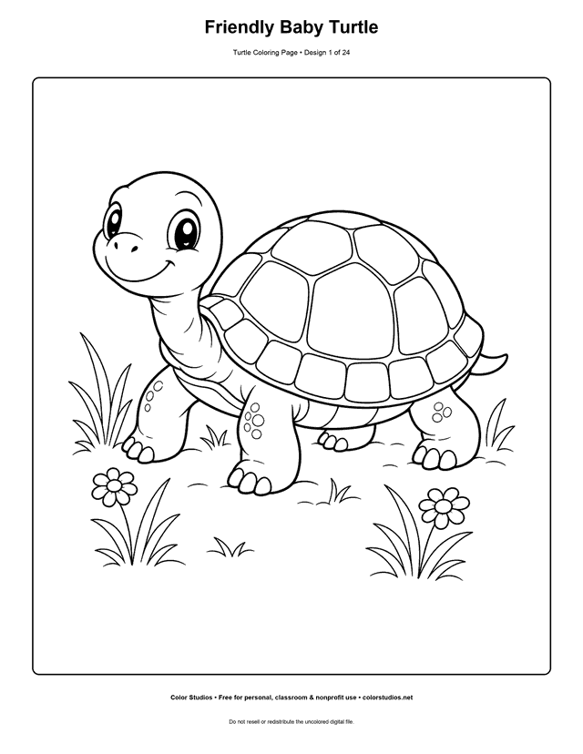 Preview of an original turtle coloring page