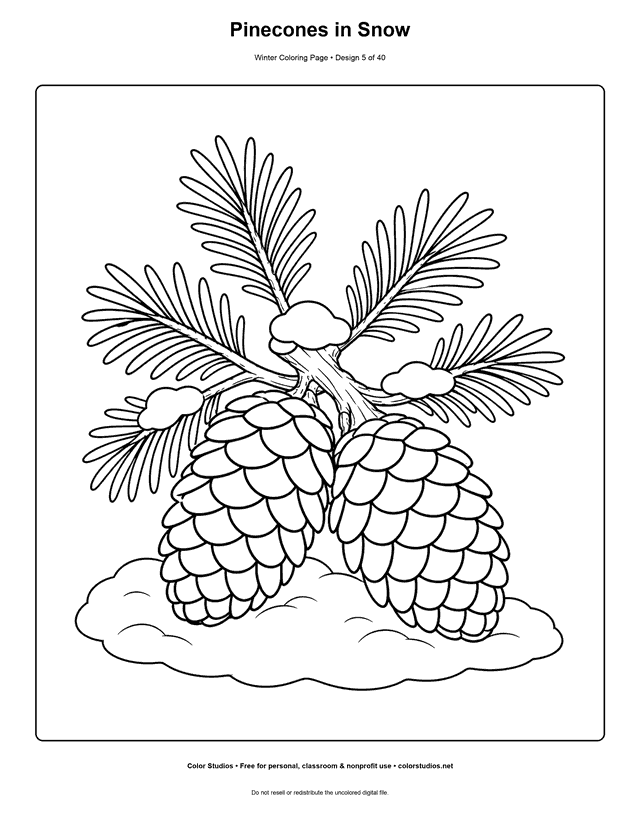 Pinecones in Snow free printable winter coloring page.