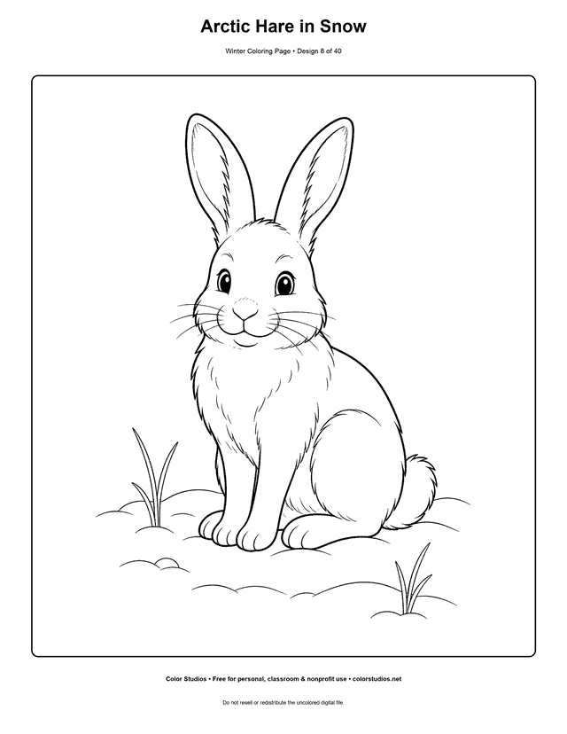 Arctic Hare in Snow free printable winter coloring page.