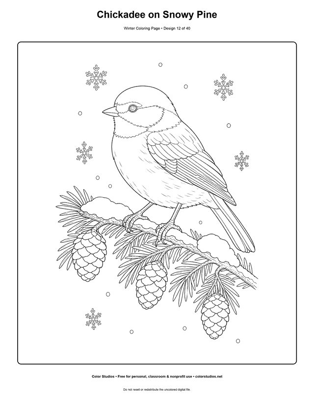 Chickadee on Snowy Pine free printable winter coloring page.