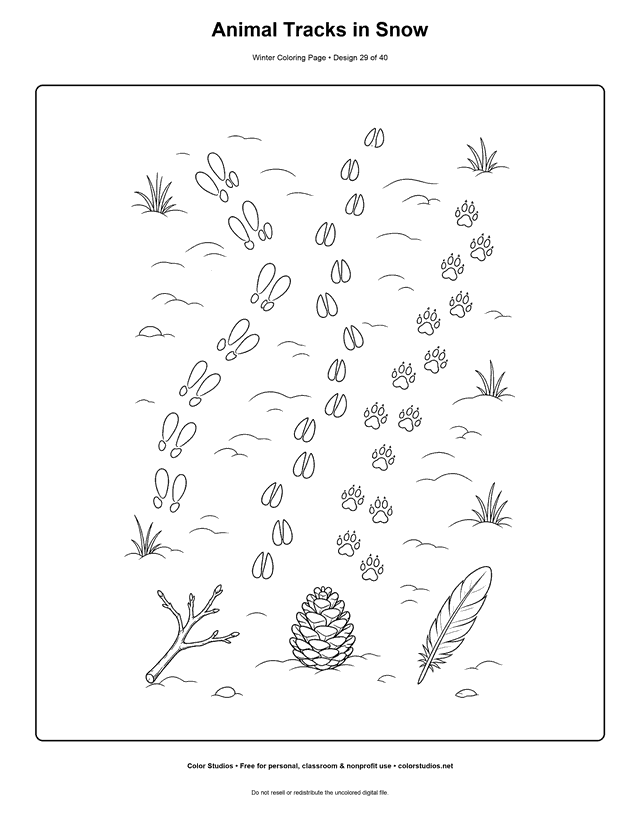 Animal Tracks in Snow free printable winter coloring page.