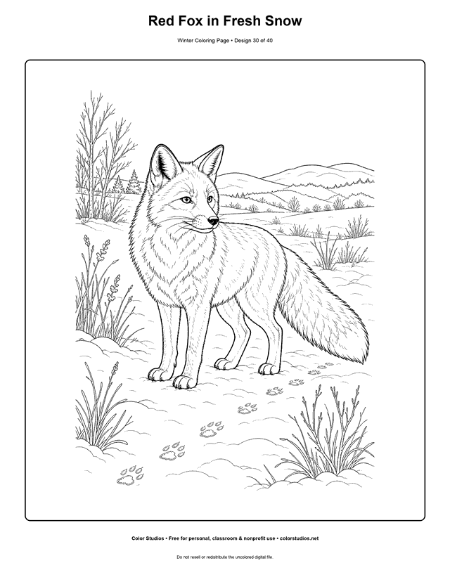 Red Fox in Fresh Snow free printable winter coloring page.