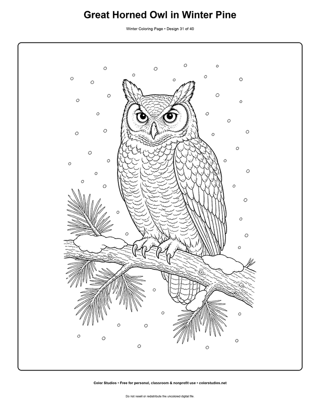 Great Horned Owl in Winter Pine free printable winter coloring page.