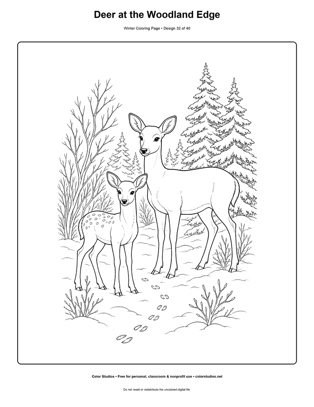 Deer at the Woodland Edge free printable winter coloring page.