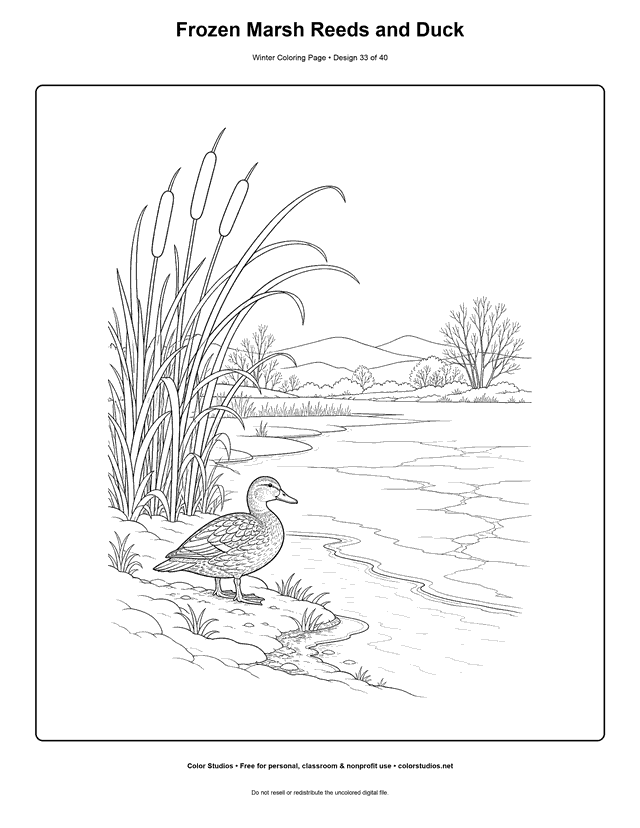 Frozen Marsh Reeds and Duck free printable winter coloring page.