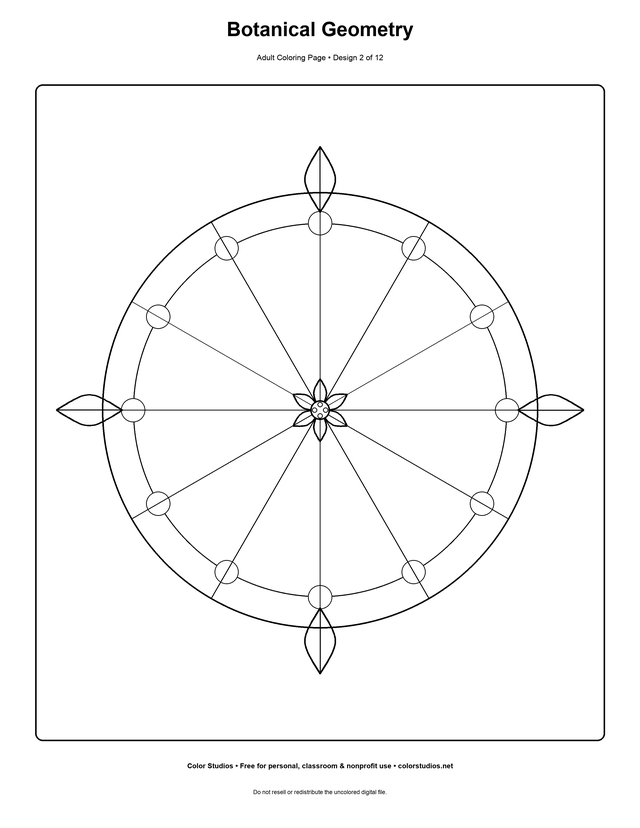 Botanical Geometry, an original adult coloring page with medium complexity
