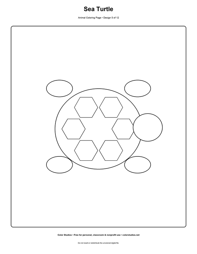 Sea Turtle, an original animal coloring page with medium complexity