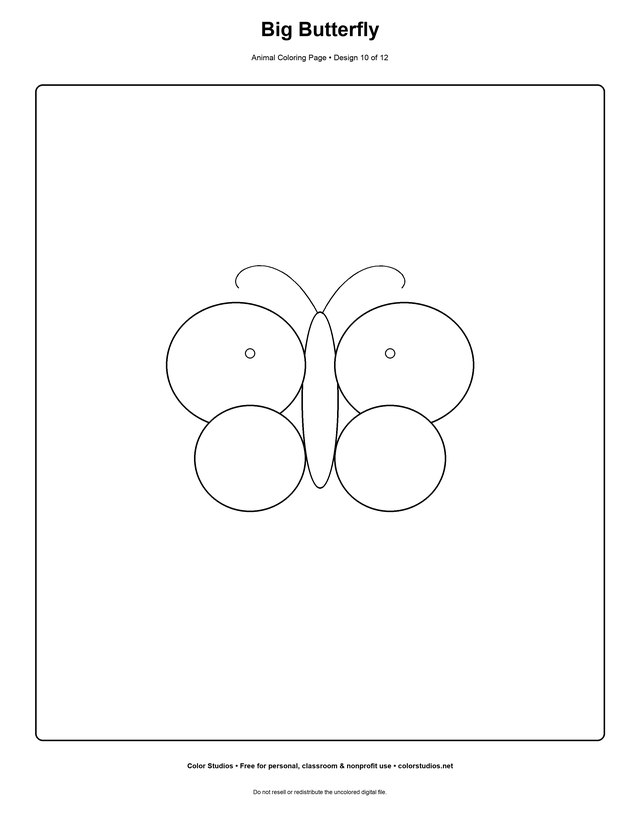 Big Butterfly, an original animal coloring page with easy complexity