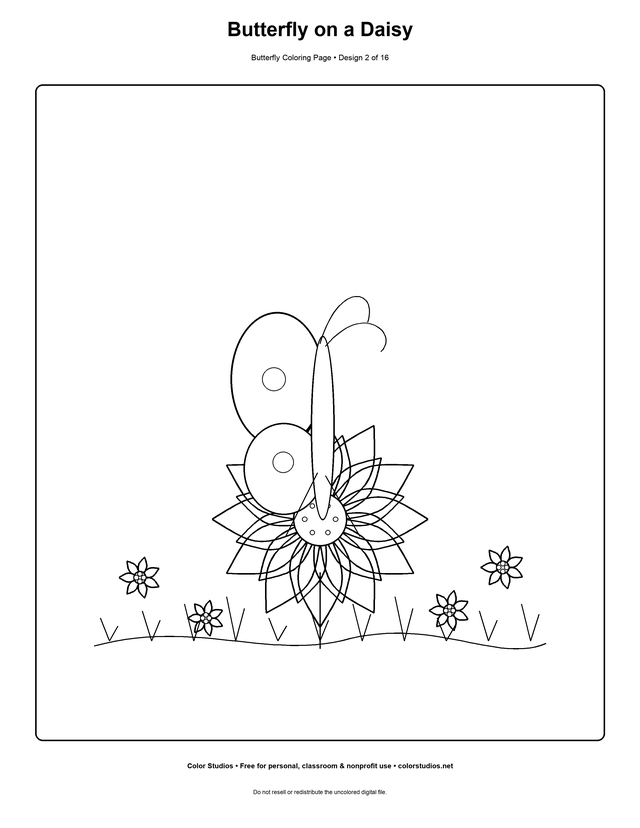 Butterfly on a Daisy, an original butterfly coloring page with medium complexity